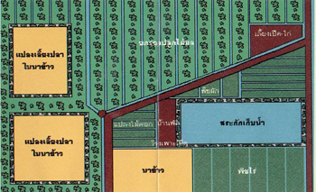 พระราชกรณียกิจด้านการเกษตรและการยกระดับสภาพชีวิตความเป็นอยู่ของประชาชน