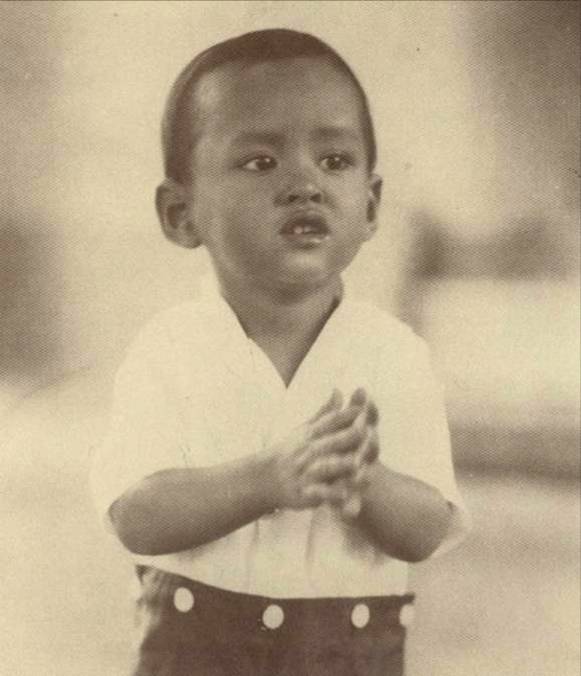 พระราชสมภพ