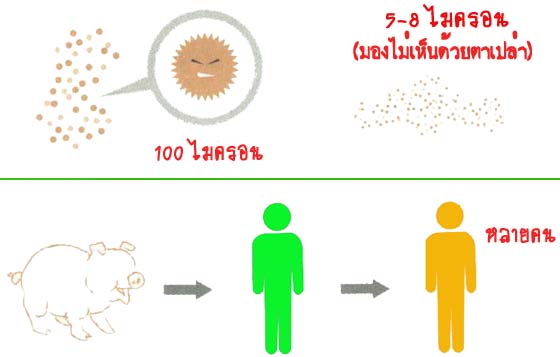 เกร็ดไม่เล็กที่ควรรู้ เกี่ยวกับไข้หวัดใหญ่สายพันธ์ใหม่ 2009