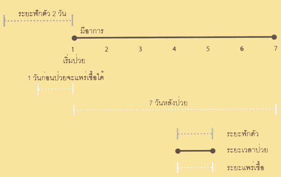 รู้หรือไม่ว่า ก่อนมีอาการป่วยเชื้อโรคนั้นทำอะไรกันอยู่