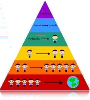 ระดับขั้นของการระบาด