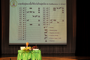 ไข้หวัดใหญ่ 2009 ป้องกันได้แค่ใส่หน้ากาก