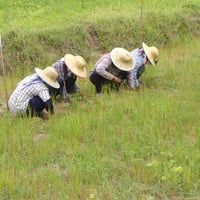 กองทุนเงินกู้หลั่งไหลเข้าสู่ท้องถิ่นแต่แรงงานนอกระบบยังเข้าไม่ถึง