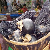 ปฏิบัติการพลังงานทางเลือกเพื่อชุมชนสุขภาพ