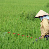 ไทยนำเข้าสารพิษเกษตรอันดับ 5 ของโลก