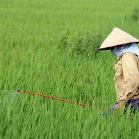 ไทยนำเข้าสารพิษเกษตรอันดับ 5 ของโลก  หนุนสร้างเครือข่ายเกษตรผลิตอาหารปลอดภัย