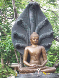 ลดเหล้าเข้าพรรษา…สู่การเลิกตลอดชีวิต