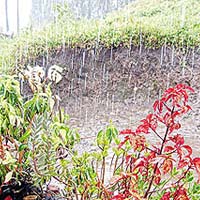 เตือนอันตราย ‘ฝนกรด’!!