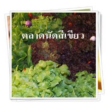 สร้างสุขได้ด้วย ‘ตลาดนัดสีเขียว’