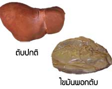 /data/content/25235/cms/e_bchjlmosvw29.jpg