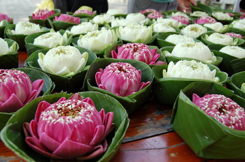ทำกระทงง่ายๆ ไม่ทำลายสิ่งแวดล้อม - สำนักงานกองทุนสนับสนุนการสร้างเสริมสุขภาพ (สสส.) ทำกระทงง่ายๆ ไม่ทำลายสิ่งแวดล้อม - สำนักงานกองทุนสนับสนุนการสร้างเสริมสุขภาพ (สสส.)