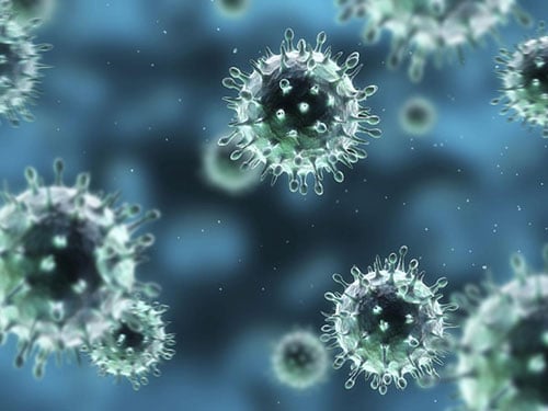 ว่าด้วยเรื่อง ‘ไข้หวัดใหญ่’ (Influenza) thaihealth