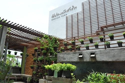 'สวนดาดฟ้า' สร้างมุมผ่อนคลายแสนสุขบนที่สูง thaihealth
