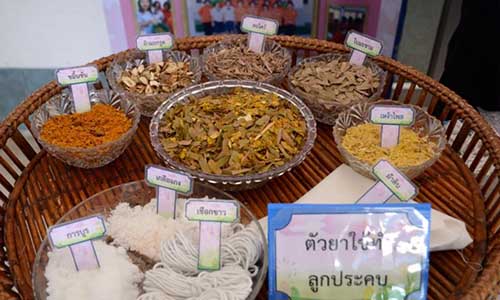 สืบทอดภูมิปัญญาไทย สร้างอาชีพ thaihealth