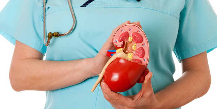 รวมพลังจัดกิจกรรมวันไตโลกและลดการบริโภคเค็ม thaihealth