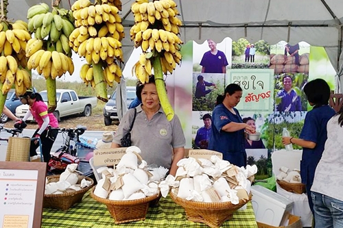ตลาดสุขใจ สัญจรกรุง ช็อปสินค้าเกษตรอินทรีย์  thaihealth