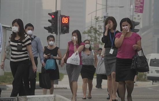 สร้างจิตสำนึกหนุนชุมชนลด “ไฟป่า” thaihealth