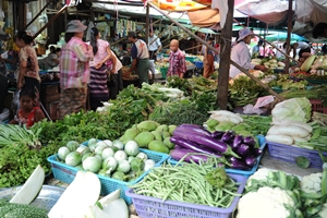 เพิ่มทางเลือก เข้าถึงผัก-ผลไม้ปลอดภัย thaihealth