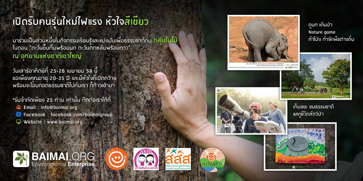 เข้าค่ายธรรมชาติ กับกลุ่มใบไม้ thaihealth