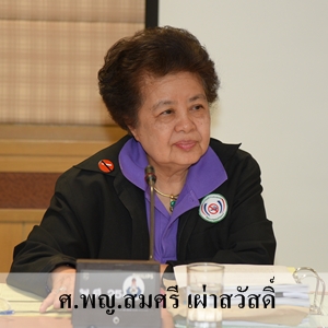 ผู้จัดการ สสส. เยี่ยมเครือข่ายวิชาชีพสุขภาพฯ  thaihealth