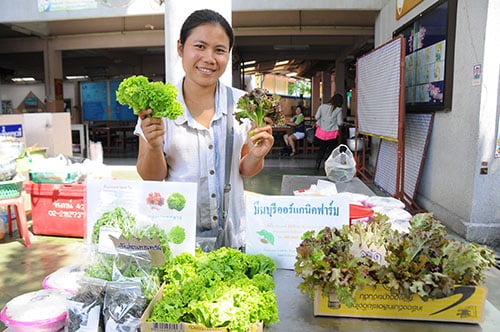 ตลาดนัดออร์แกนิก“ตะลักเกี้ยะ”ของสดปลอดสาร thaihealth