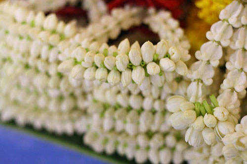 ระวังฟอร์มาลินใน 'พวงมาลัย'   thaihealth