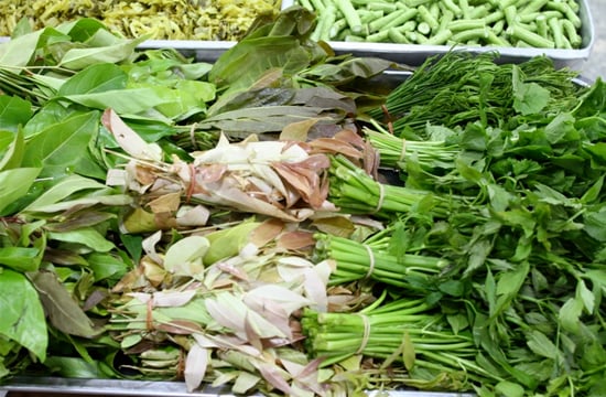‘ปลูกผักกินเอง’ ทางเลือกสู่อาหารปลอดภัย  thaihealth