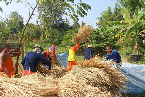 ปลุกพลัง “เยาวชนเมืองน่าน” วัฒนธรรมชุมชน thaihealth
