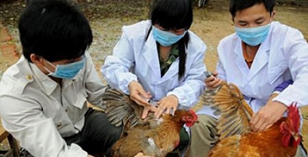 ยืนยัน! ไม่พบไข้หวัดนก H7N9 ระบาดในไทย  รมว.เกษตรฯ ยันไทยยังไม่พบการระบาดไข้หวัดนก H7N9 ส่วนจีนสามารถควบคุมสถานการณ์ได้แล้ว