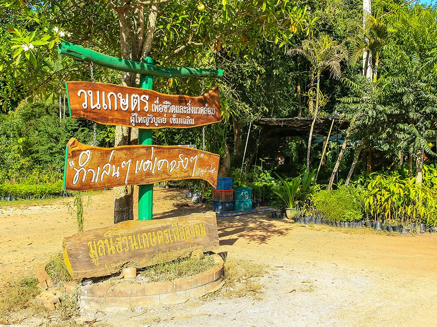 'วนเกษตร' ช่วยเกษตรกรหลุดพ้นความจน thaihealth