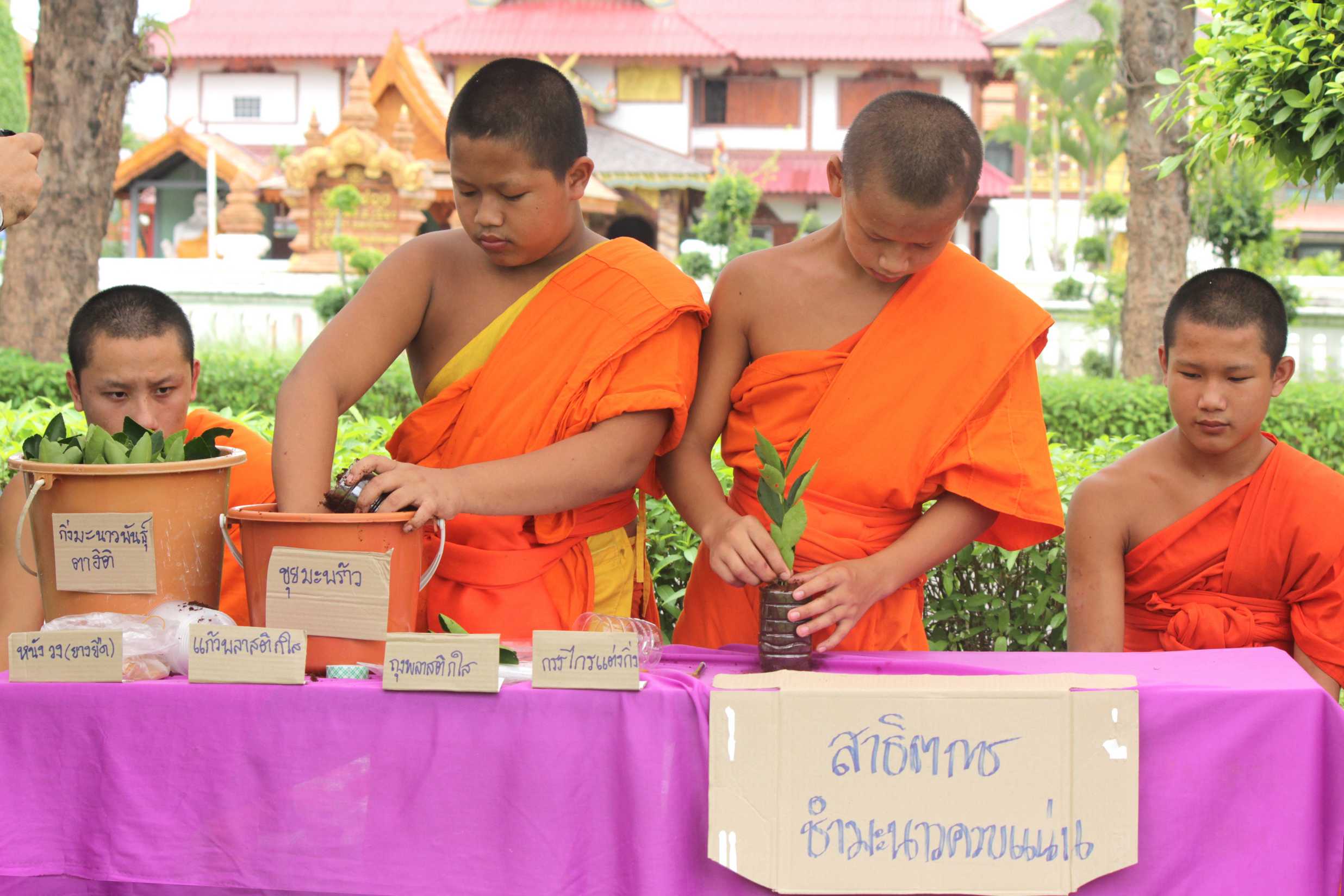 ละอ่อนน่าน ฮักบ้านเกิด thaihealth