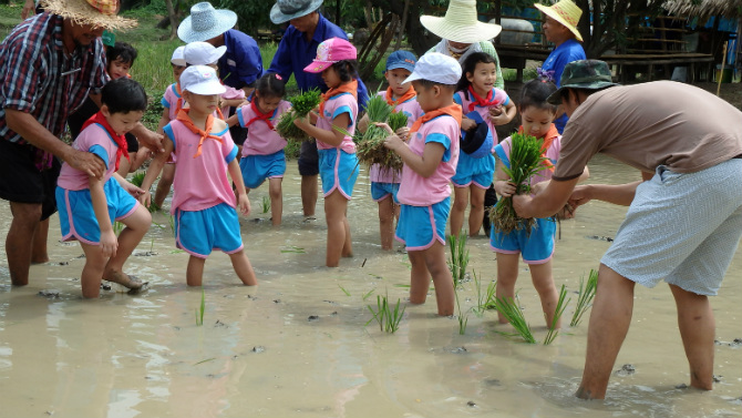 ปลุกวัยใส 'รู้คุณค่า สำนึกคุณข้าว'  thaihealth