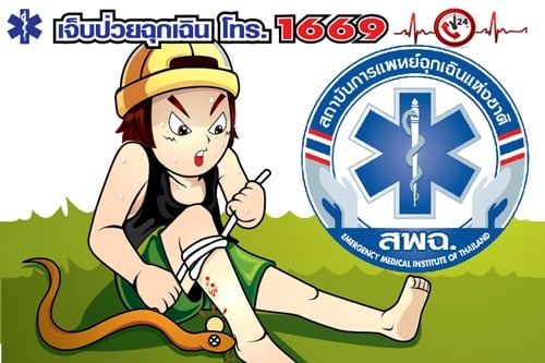 6 ข้อควรรู้ เมื่อถูกงูกัด thaihealth