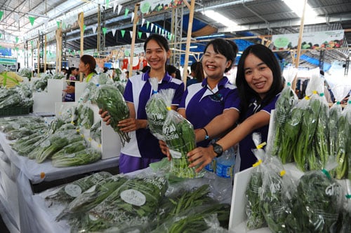 ผักสุขภาพดี ที่ภาษีเจริญ thaihealth