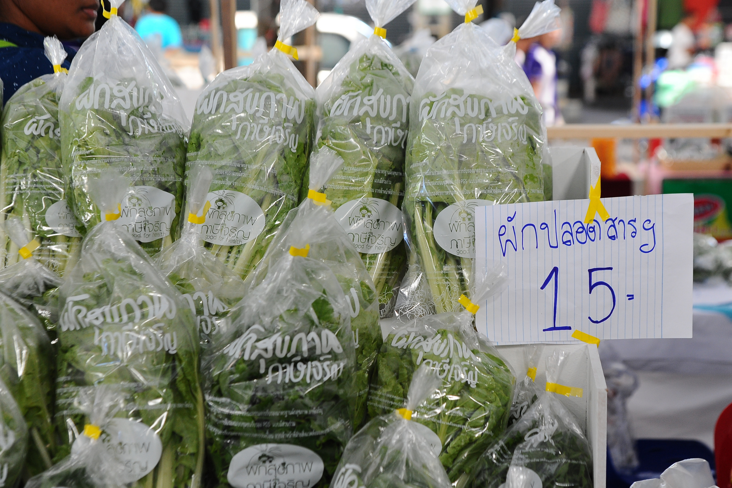 ผักสุขภาพดี ที่ภาษีเจริญ thaihealth