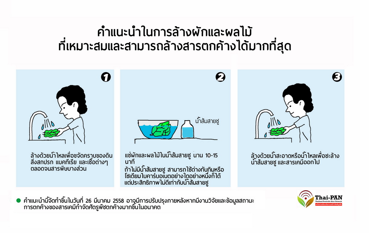 ผักปลอดภัย กินได้ ดูอย่างไรดี thaihealth