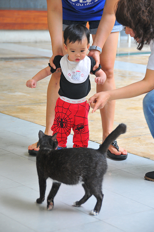 ห่วงไอคิว-อีคิวเด็กแรกเกิด-5ปี thaihealth