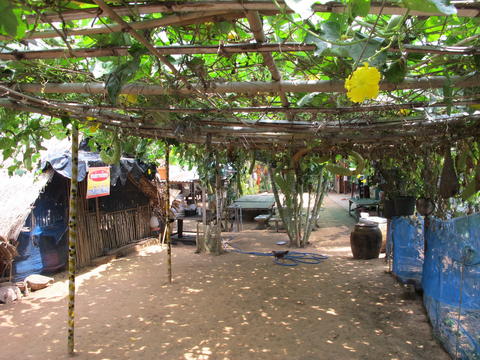 สร้างอาชีพ แก้ไขปัญหาชุมชนบ้านขาม  thaihealth