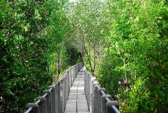 5หลักการ เที่ยวให้สนุกสุขใจและยั่งยืน thaihealth