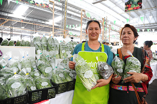 วิถีใหม่คนเมืองอยู่'คอนโดฯ'ก็'ปลูกผัก'กินเองได้ thaihealth