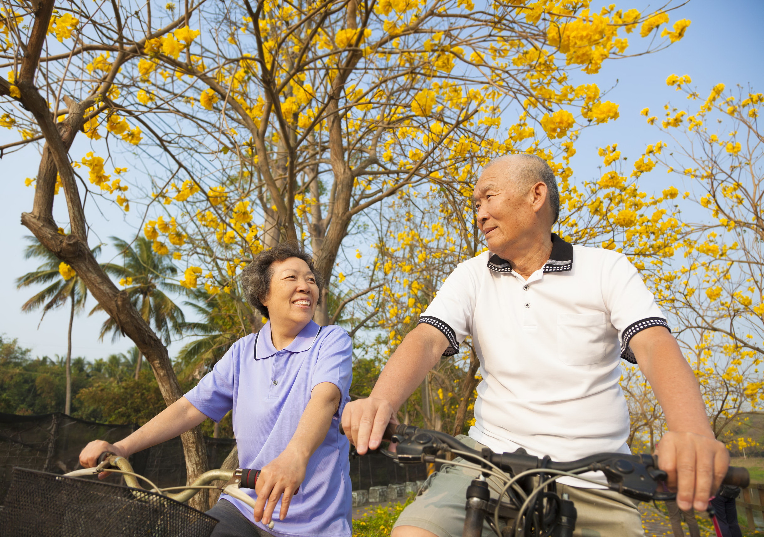 แนะวัยเกษียณ สร้างสุขภาพกาย-ใจ thaihealth