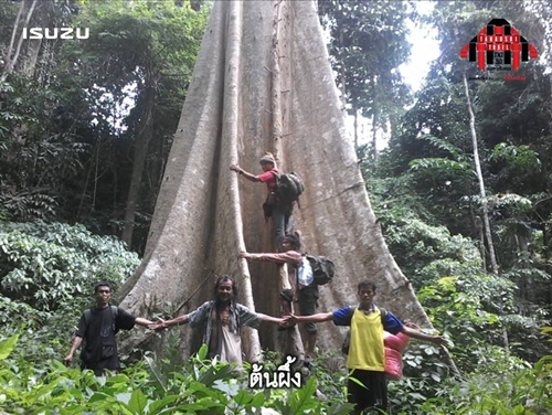  \\'ตะนาวศรี เทรล\\' ทางกันไฟ ทางวิ่ง ทางเดียวกัน thaihealth