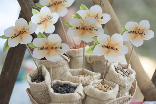 ชม ช็อป ชิม แชร์ “วันสังคมสุขใจ”  thaihealth