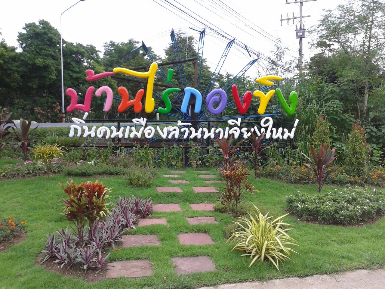 เที่ยวปีใหม่สุขใจ “สไตล์ชุมชน”    thaihealth