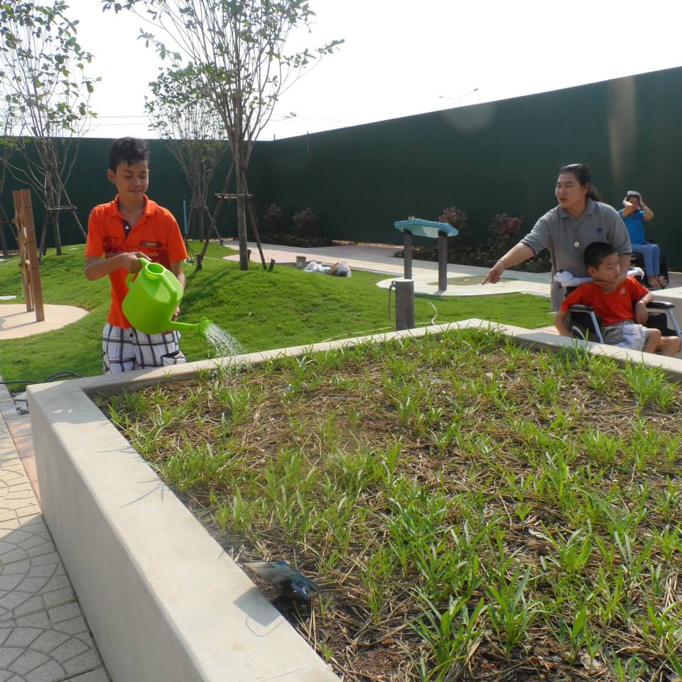 สวนผักปลอดสารเด็กพิการ 'บ้านคามิลเลียน' thaihealth