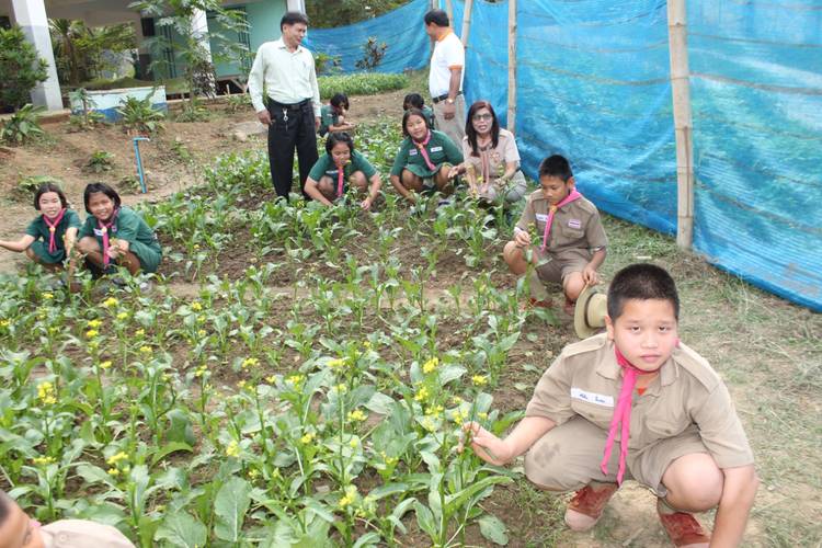 'สสส.' หนุนโรงเรียนปลูกผักให้เด็กบริโภค thaihealth