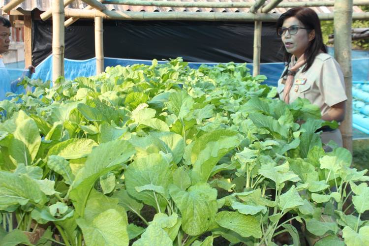 'สสส.' หนุนโรงเรียนปลูกผักให้เด็กบริโภค thaihealth