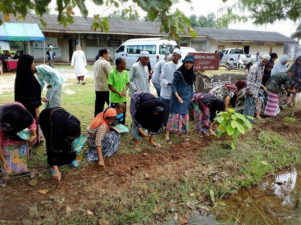 ร่วมขับเคลื่อนชุมชน ปลูกผักปลอดสารพิษ  thaihealth