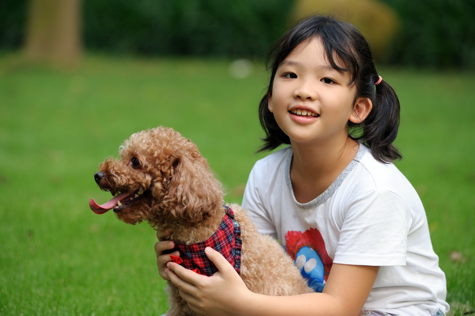 ป้องกัน“โรคพิษสุนัขบ้า”ช่วงปิดเทอม thaihealth