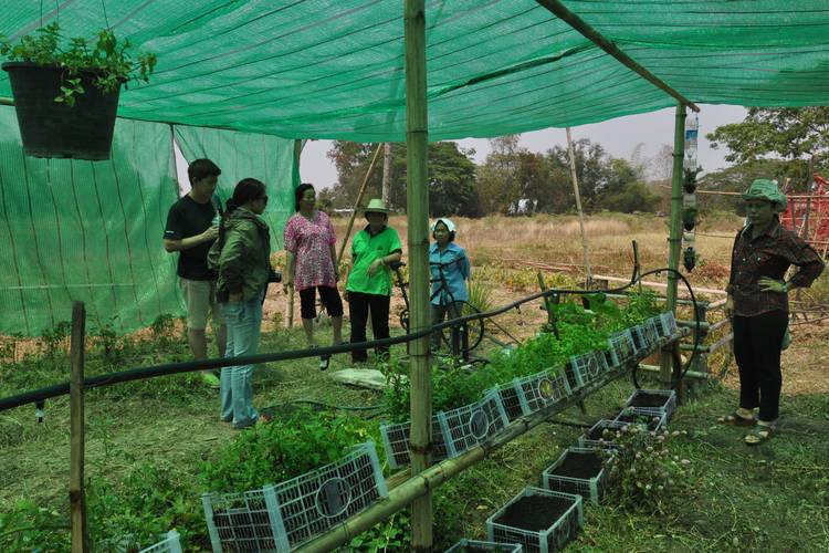 นวัตกรรมต่อยอด “จักรยานน้ำบ้านสันต้นแหน” thaihealth
